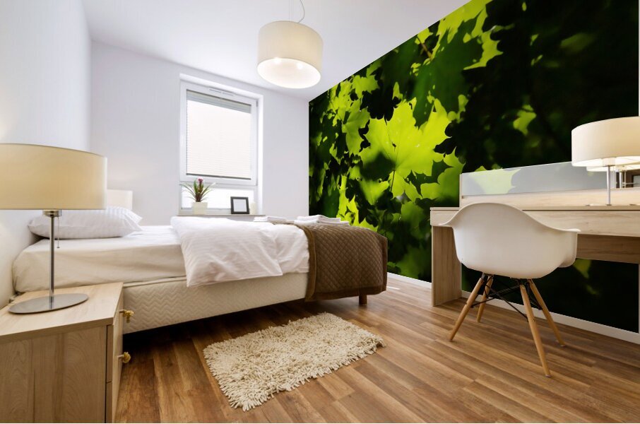 Maple Leaves Mural print