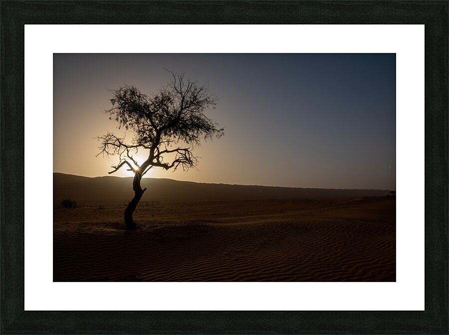 A Lone Tree in the Desert Impression et Cadre photo