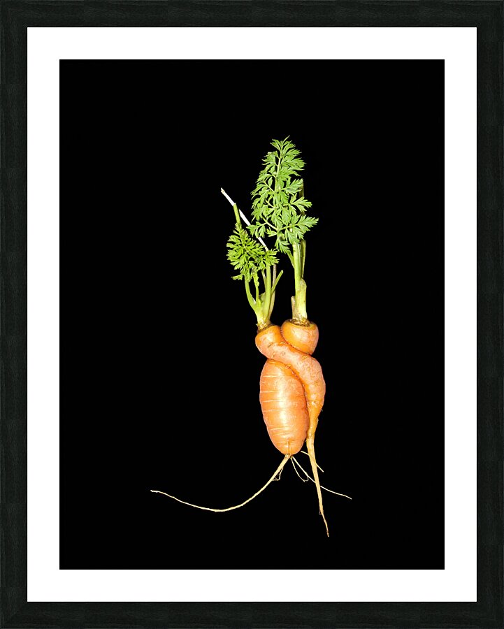 Carrot Love Picture Frame print