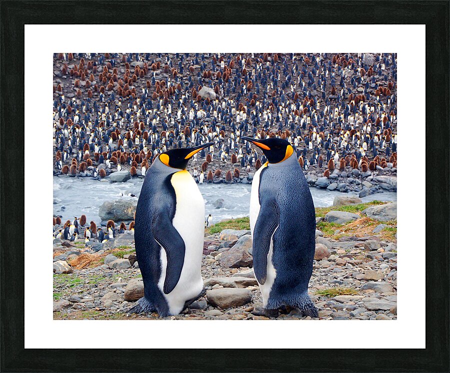 Conversation Picture Frame print