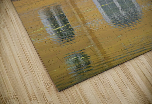 Catherine the Greats Summer Palace Adel B Korkor puzzle