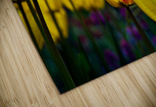 Being Different Is Special Adel B Korkor puzzle