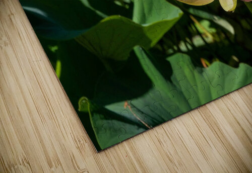 Lotus Flower Adel B Korkor puzzle