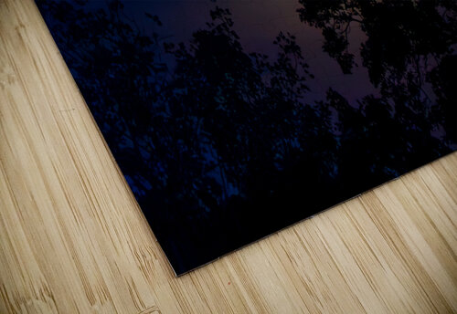 Moon Lit Night Adel B Korkor puzzle