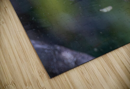 Female Mallard Duck Reflection Adel B Korkor puzzle