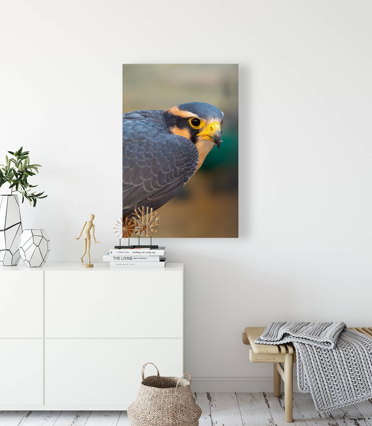 Aplomado Falcon Reproduction