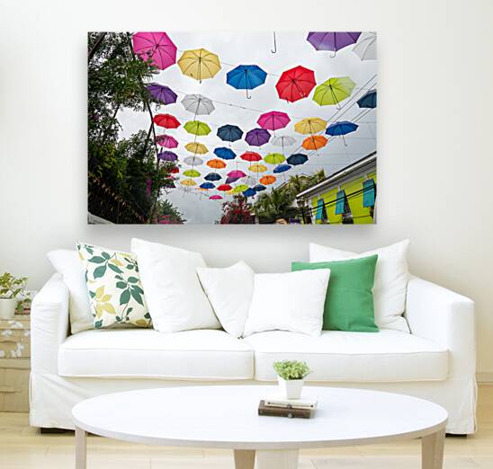 Umbrella Lane Reproduction