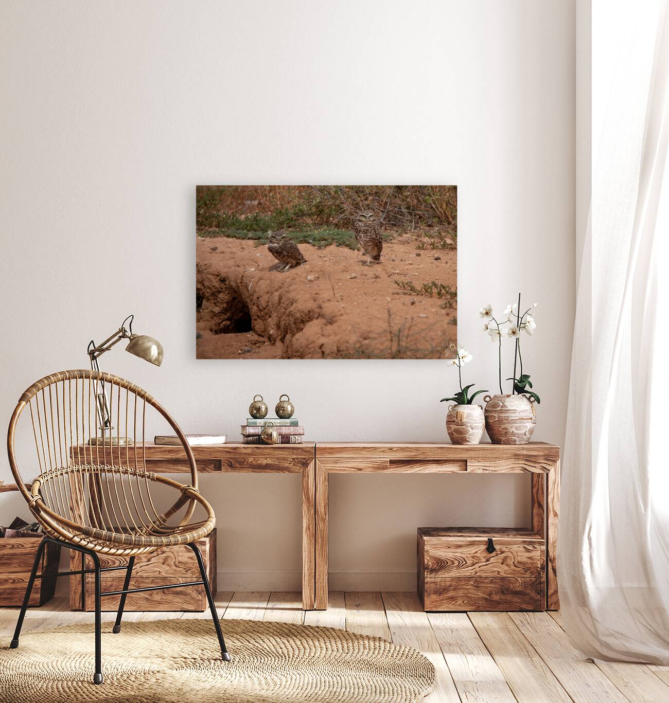 Burrowing Owls Reproduction