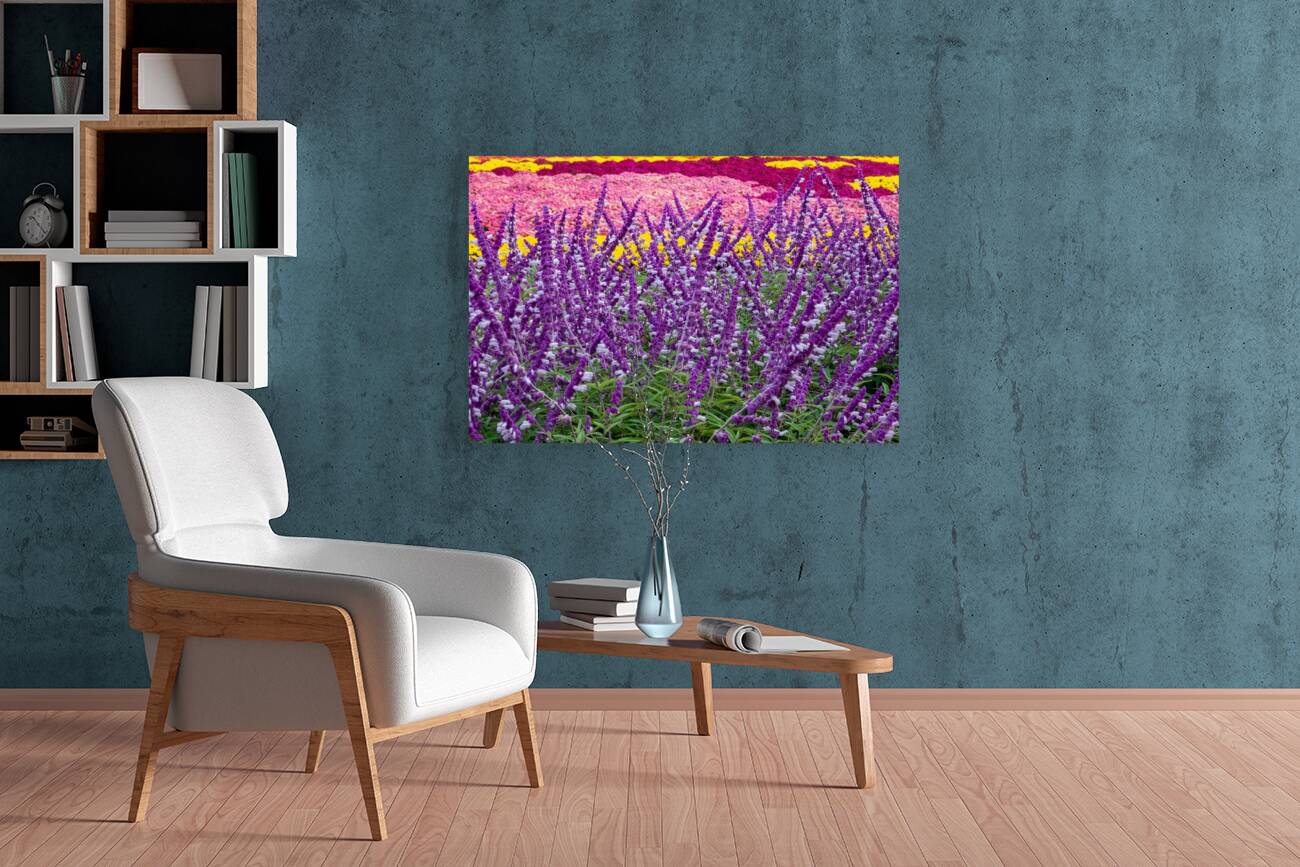 Skullcap Flowers Reproduction