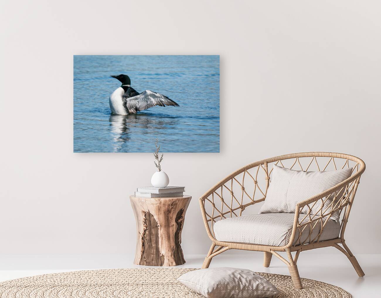 Common Loon Reproduction