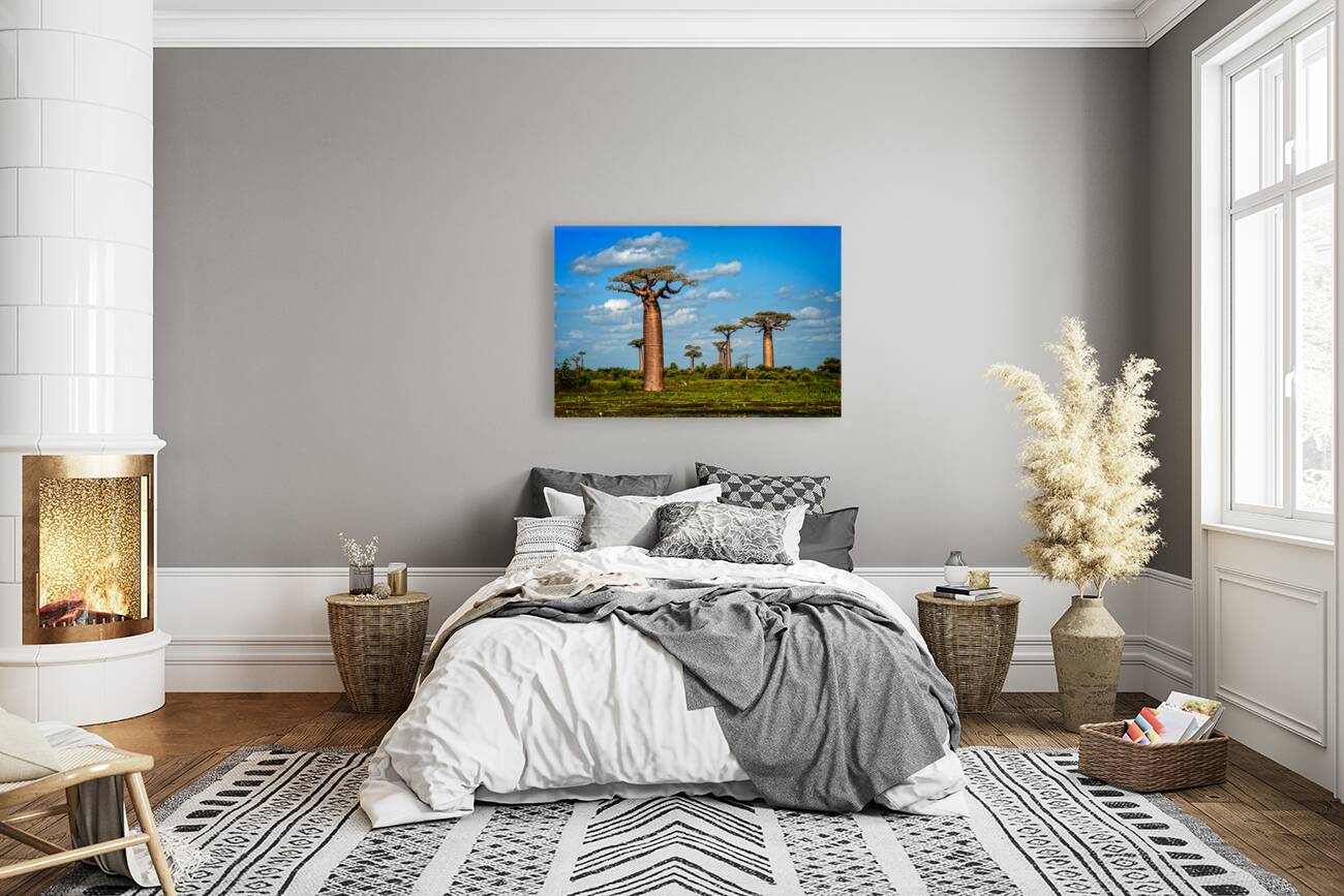 Baobab Trees Reproduction