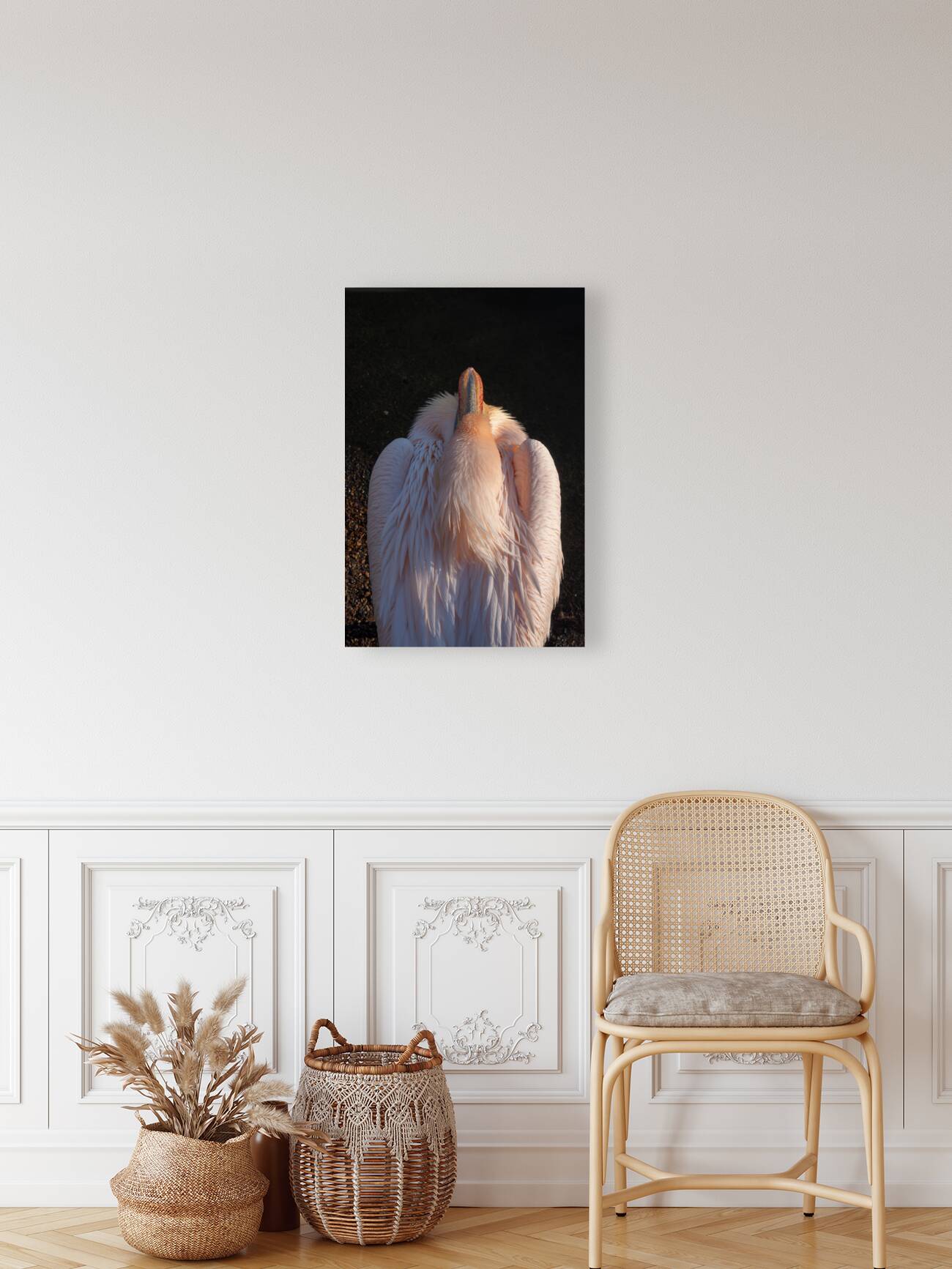 Great White Pelican Reproduction