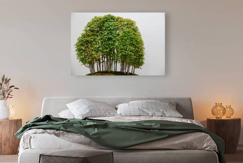 Yose-Ue Forest Garden Reproduction