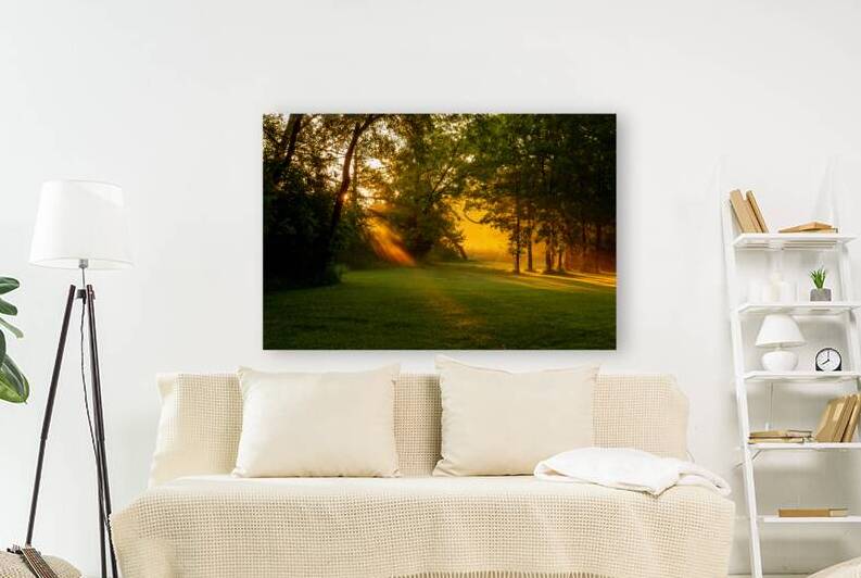Sunbeam Landscape by Adel B Korkor