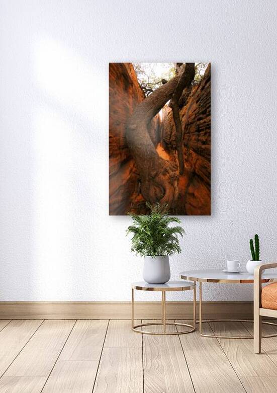 Red Rock Canyon Tree Reproduction