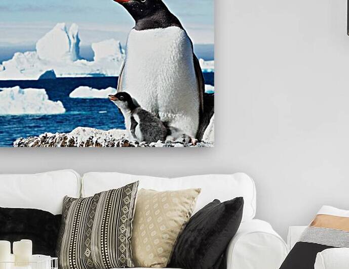 Gentoo Mother and Baby Penguins by Adel B Korkor