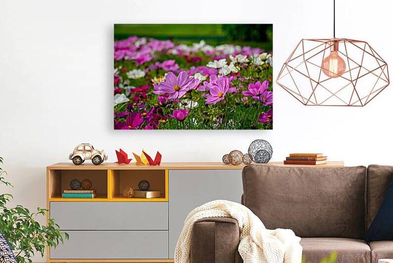 Pink Coreopsis at the Botanical Gardens by Adel B Korkor