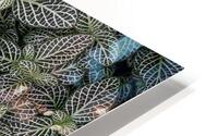 Nerve Plant HD Metal print