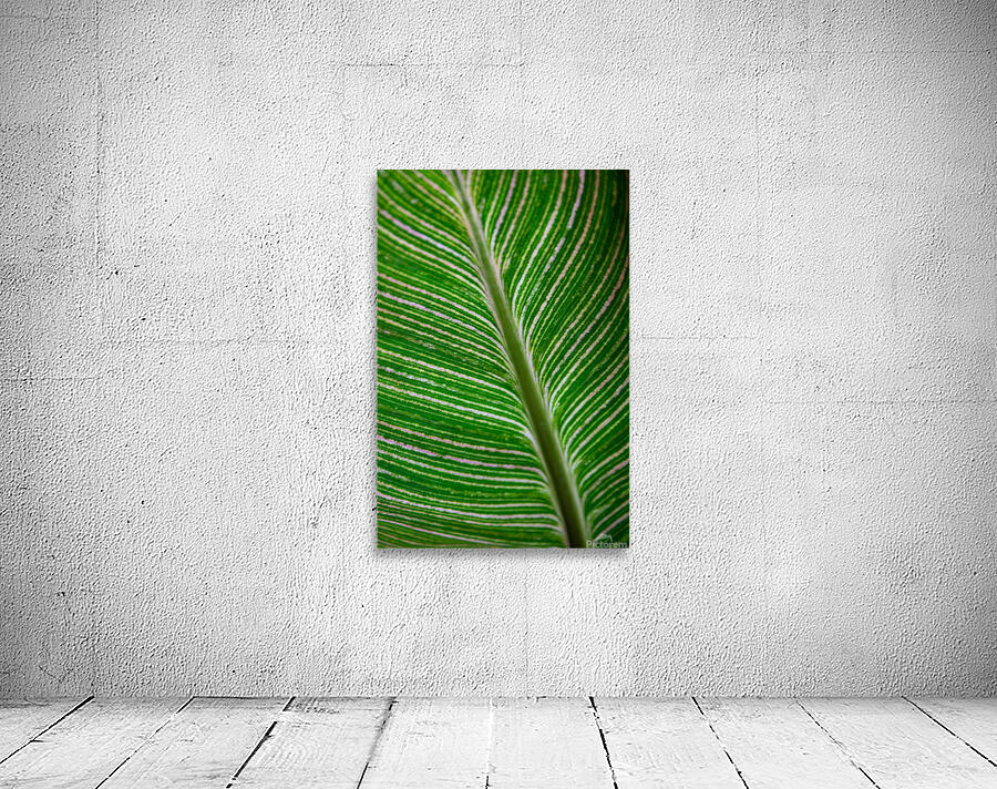 Green Calathea Leave Wall Preview
