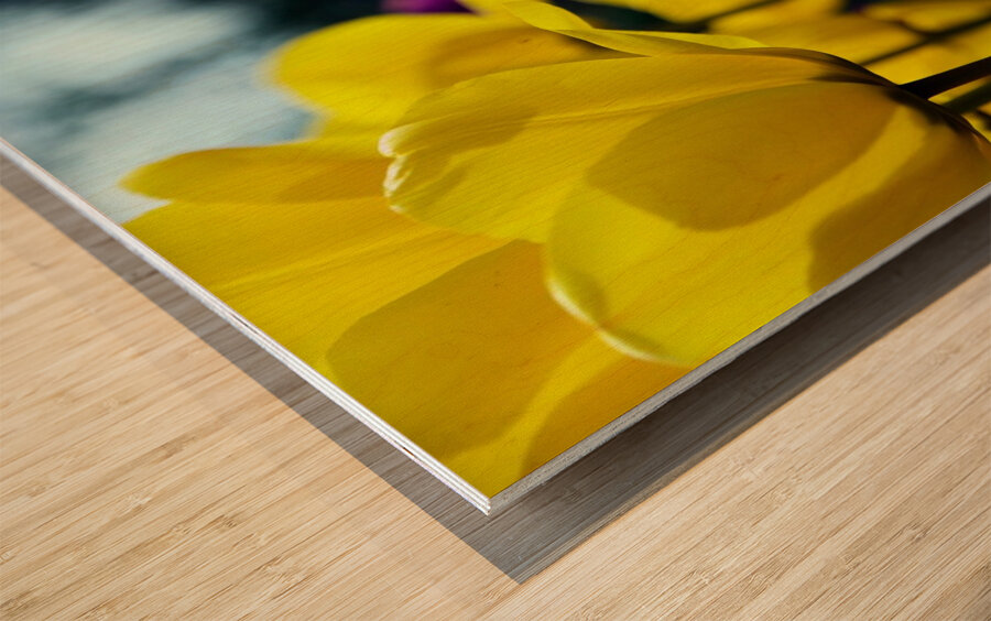 Being Different Is Special Wood print