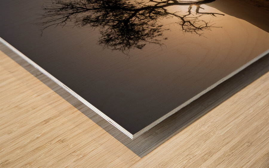 A Lone Tree in the Desert Impression sur bois