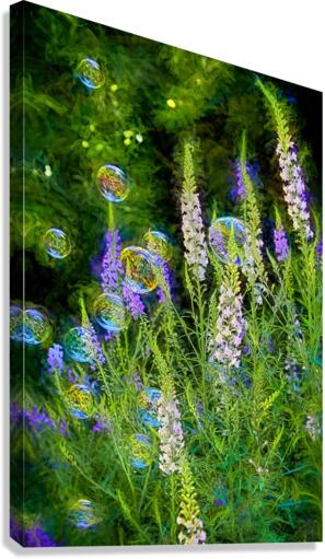 Bubbles in the Garden Canvas Print