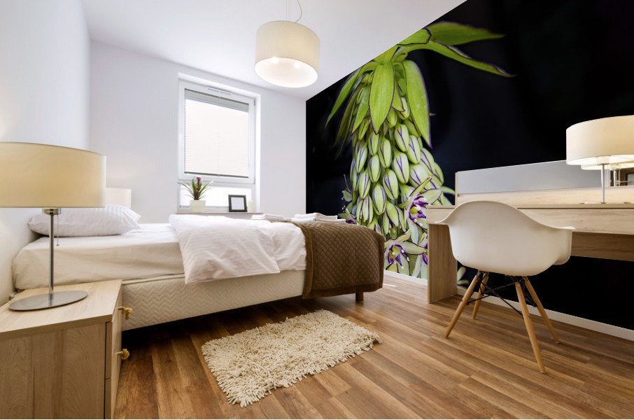 Eucomis Mural print