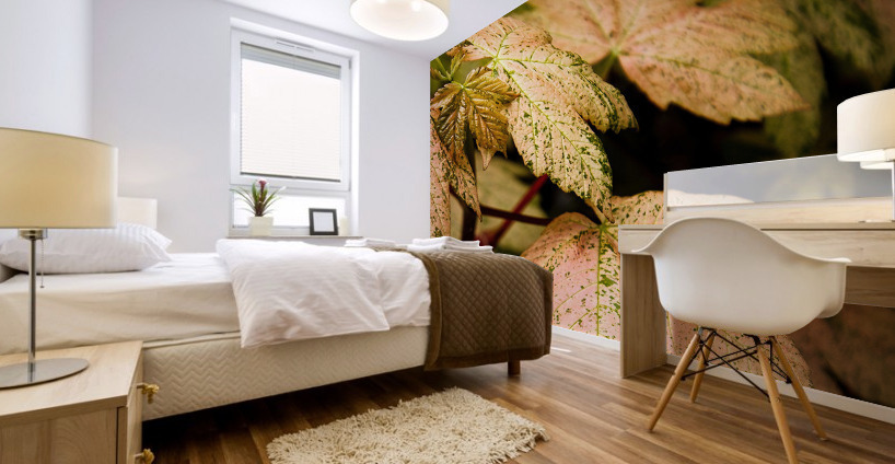 A. pal Esk Sunset Mural print