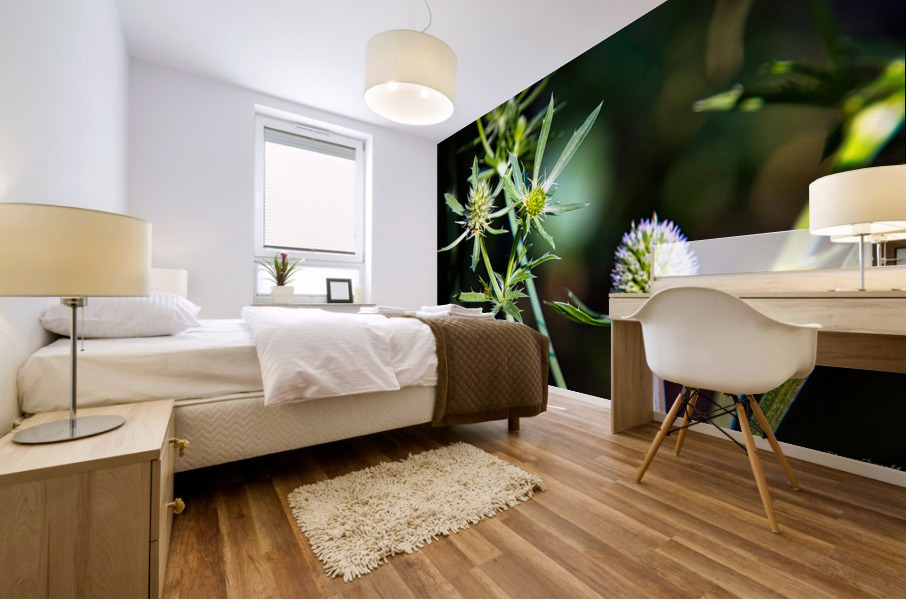 Eryngium Mural print