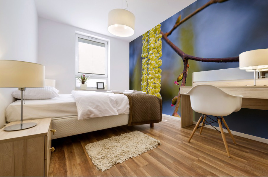 Hazelnut in bloom Mural print