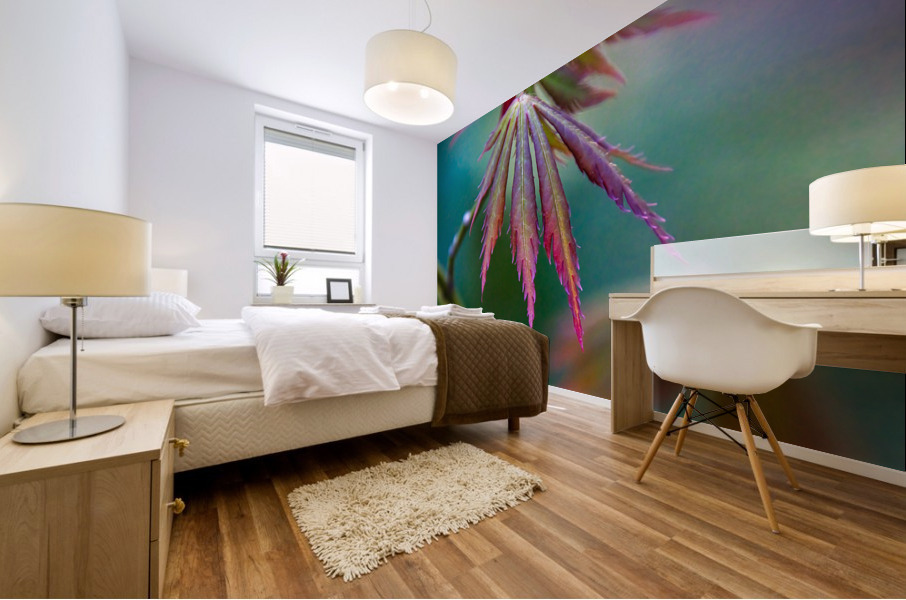 Japanese maple Mural print
