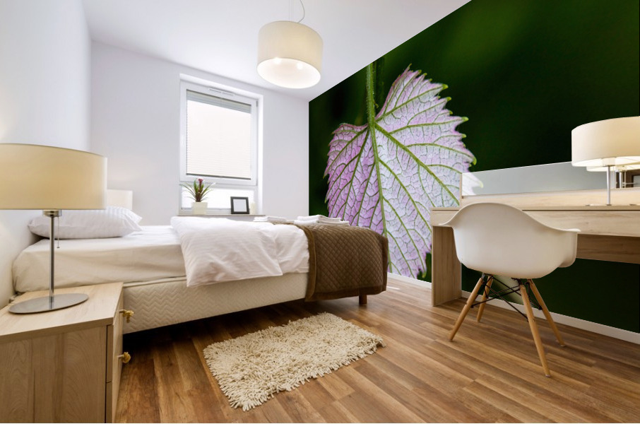 Young grape leaf Mural print