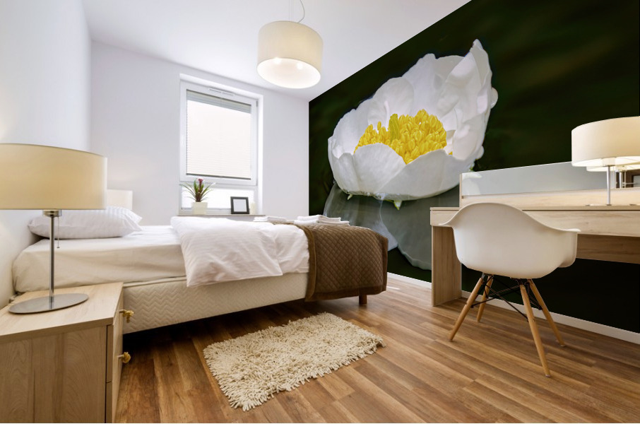 Serenity Mural print