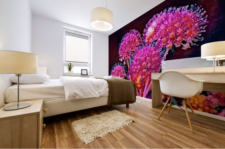 Fatsia fireworks Mural print