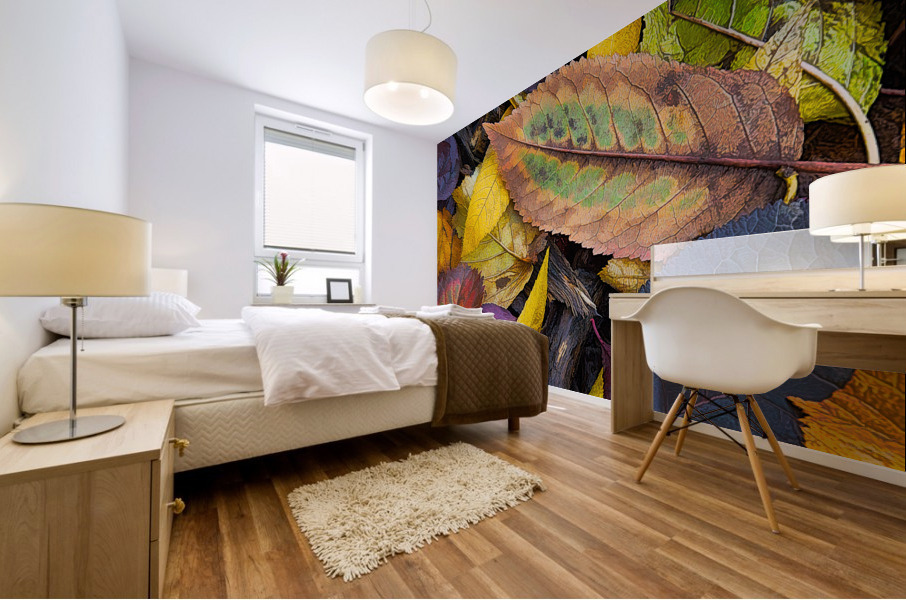 Nature s collage Mural print