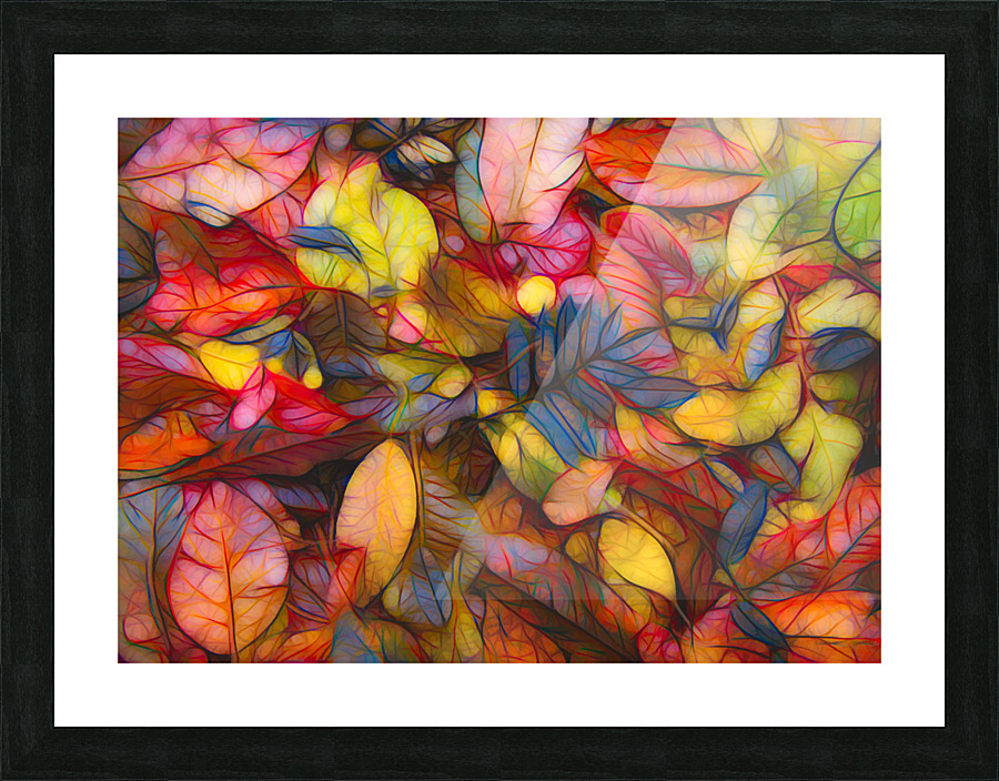 Fall colors 1 Picture Frame print