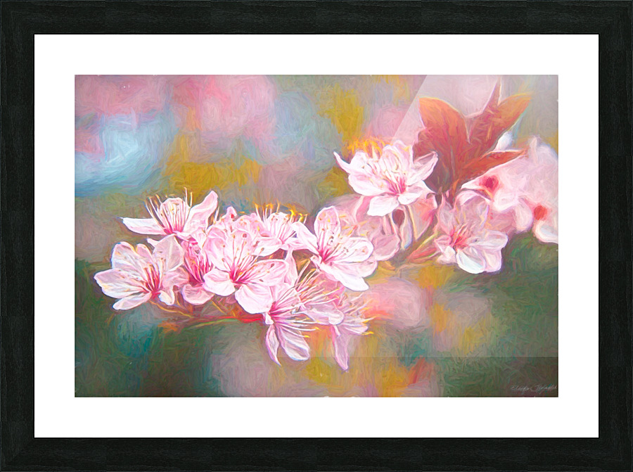 Flowering plum Picture Frame print