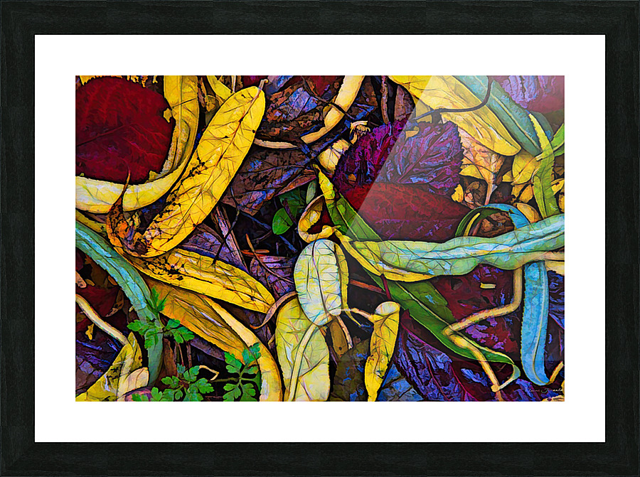 Fall colors 2 Picture Frame print