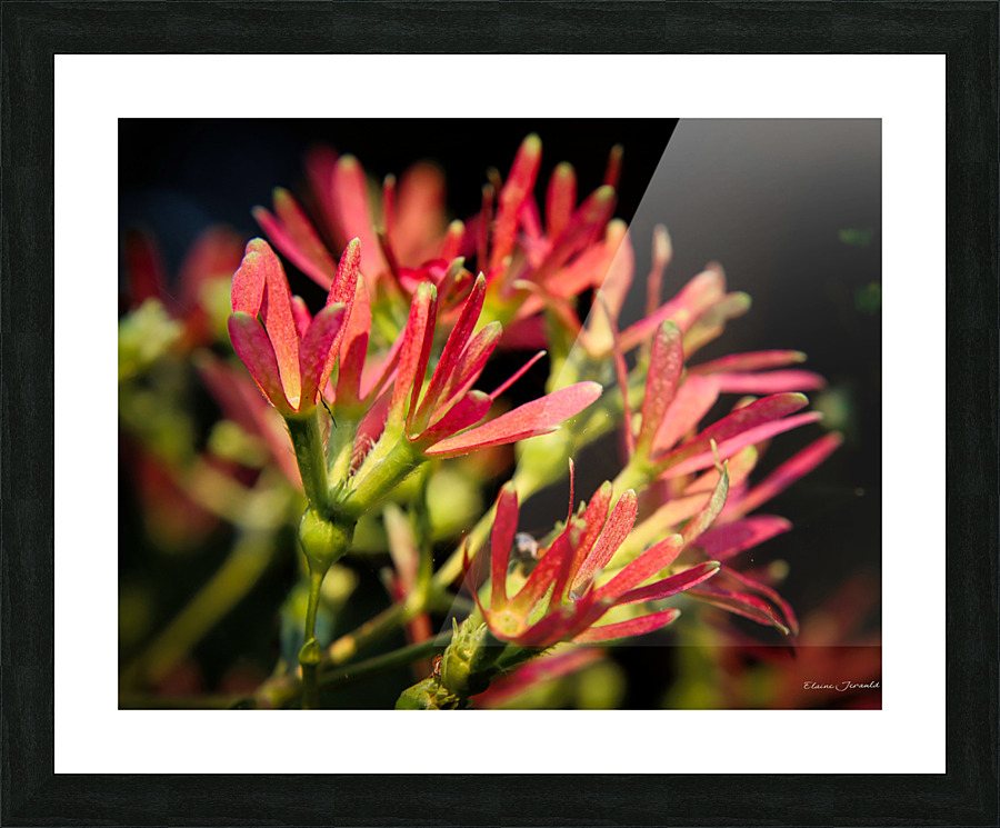 Seven Sons Picture Frame print