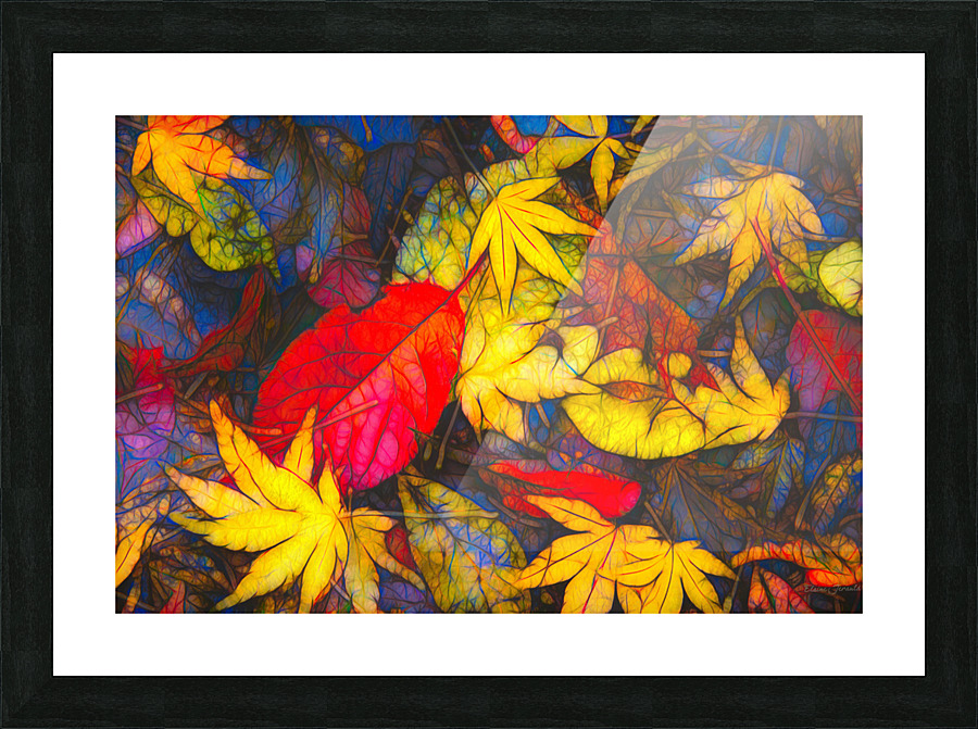 Fall colors 3 Picture Frame print
