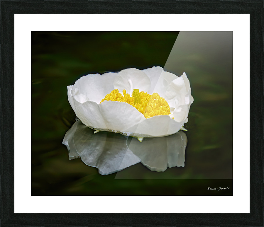 Serenity Picture Frame print