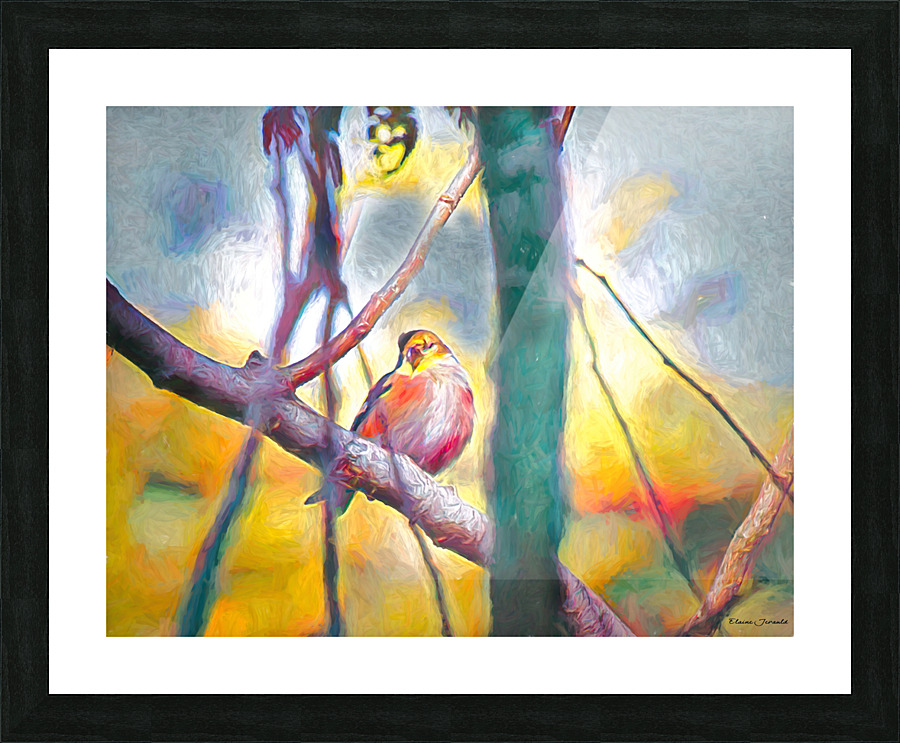 Goldfinch Picture Frame print
