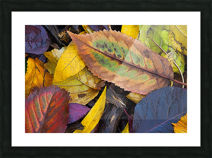 Nature s collage Picture Frame print