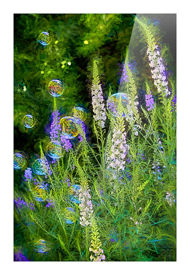 Bubbles in the Garden Picture Frame print