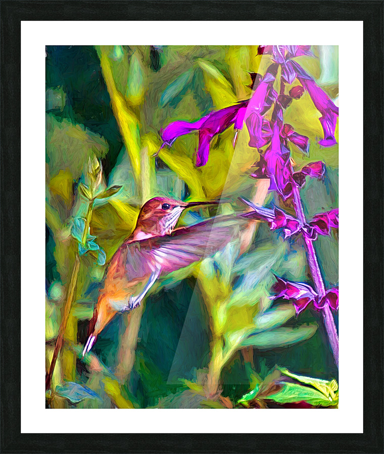 Hummingbird Brilliance Picture Frame print