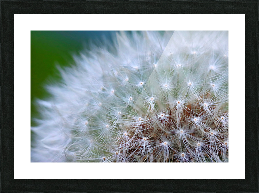 Make a wish Picture Frame print