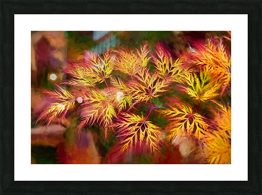 Fall Fireworks Picture Frame print