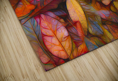 Fall colors 1 E Jerauld puzzle