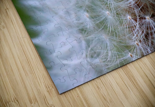Make a wish E Jerauld puzzle