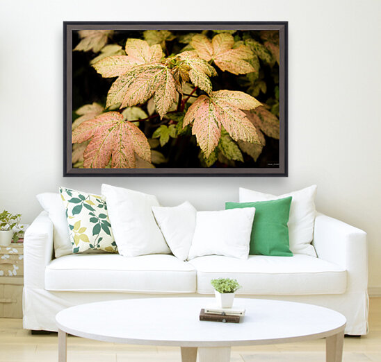 A. pal Esk Sunset Reproduction